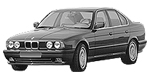 BMW E34 P0C8D Fault Code